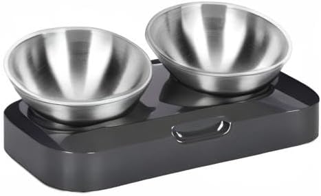 PewinGo Raised Cat Bowl with Stainless Steel, Easy to Clean & Non-Slip Silicone Mat Cat Feeder with 0 &15° Tilting Neck Protective Bowl for Pets, Cats and Puppies Food and Water Feeding - Comfort Style