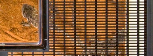 Exo Terra Standard Faunarium Small - Comfort Style