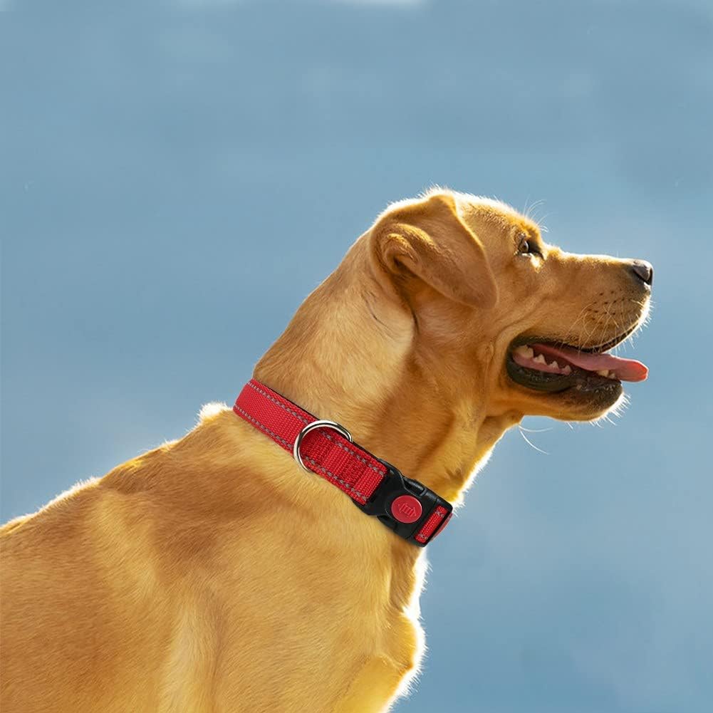Taglory Reflective Nylon Dog Collar with Safety Buckle, Adjustable Pet Collars with Soft Neoprene Padding for Small Dogs, Red - Comfort Style