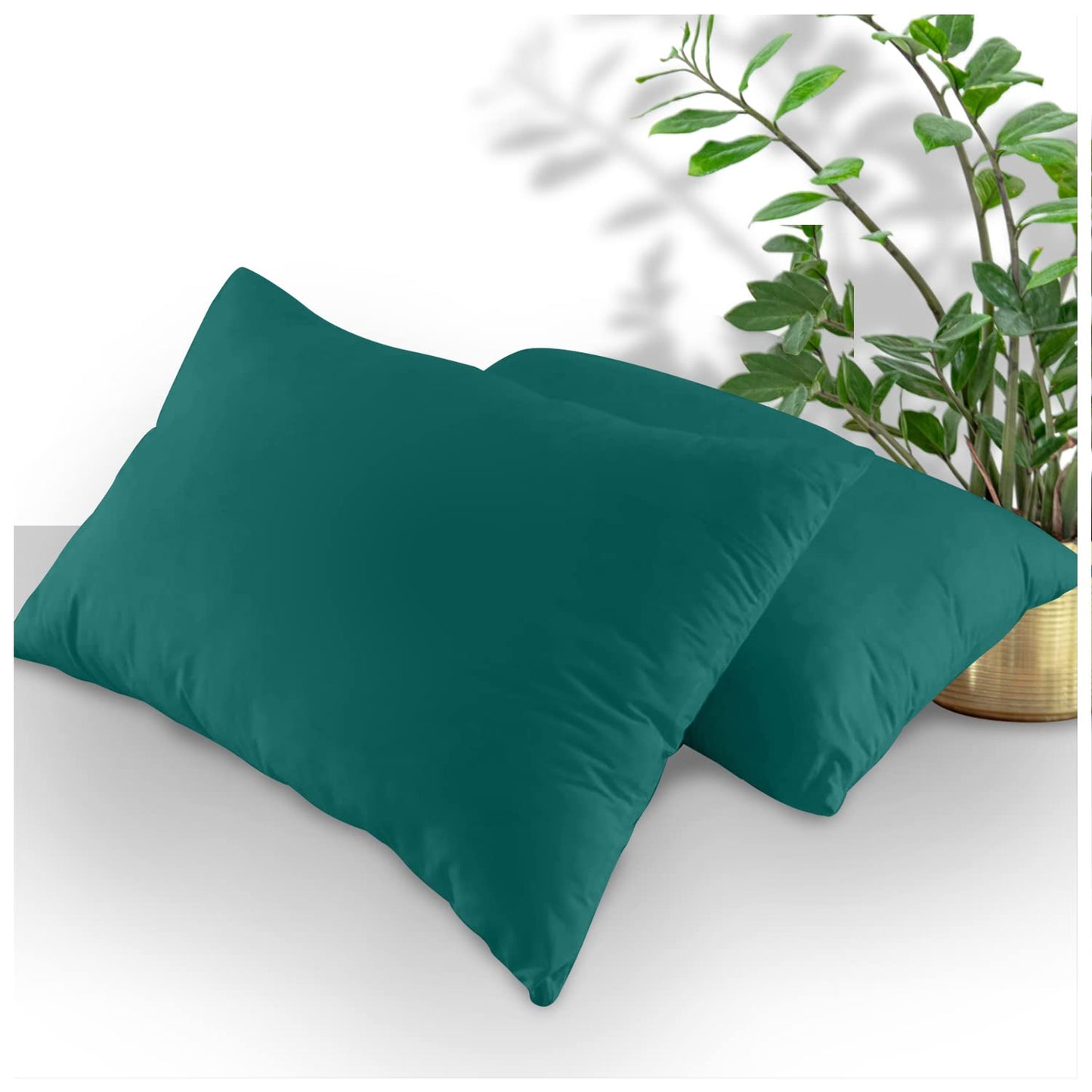 GC GAVENO CAVAILIA | Fitted Sheets - Plain Dyed Bedding Bedsheets - Non Iron Superking Fitted Sheet