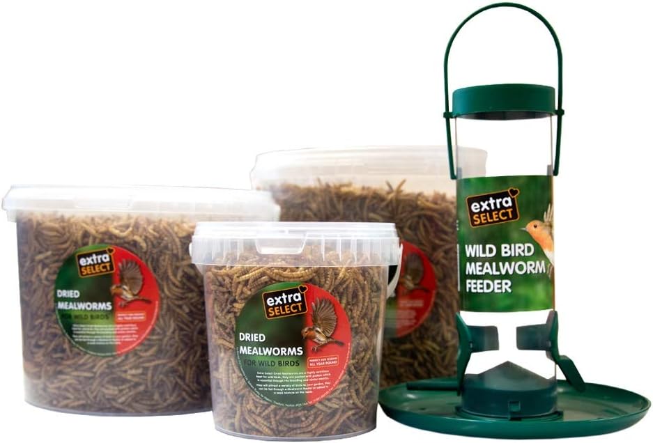 Extra Select Dried Mealworms for Wild Birds: Protein Rich Wild Bird Food for Robins to Hedgehogs - Meal Worms for Garden Birds - 500 ml - Comfort Style