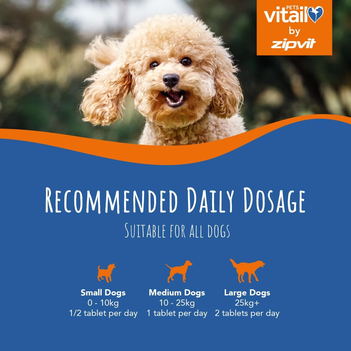 Green Lipped Mussel for Dogs, 500mg. 120 Tablets. Formulated for Your Dogs Health and Vitality. - Comfort Style