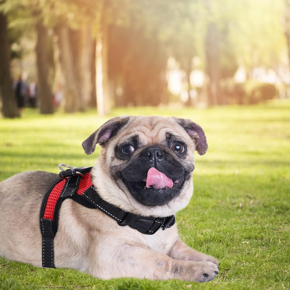 Dog Harness Mesh Breathable Comfortable Pet Vest No Pull Adjustable Soft Padded Dog Power Strap (S, Red) - Comfort Style