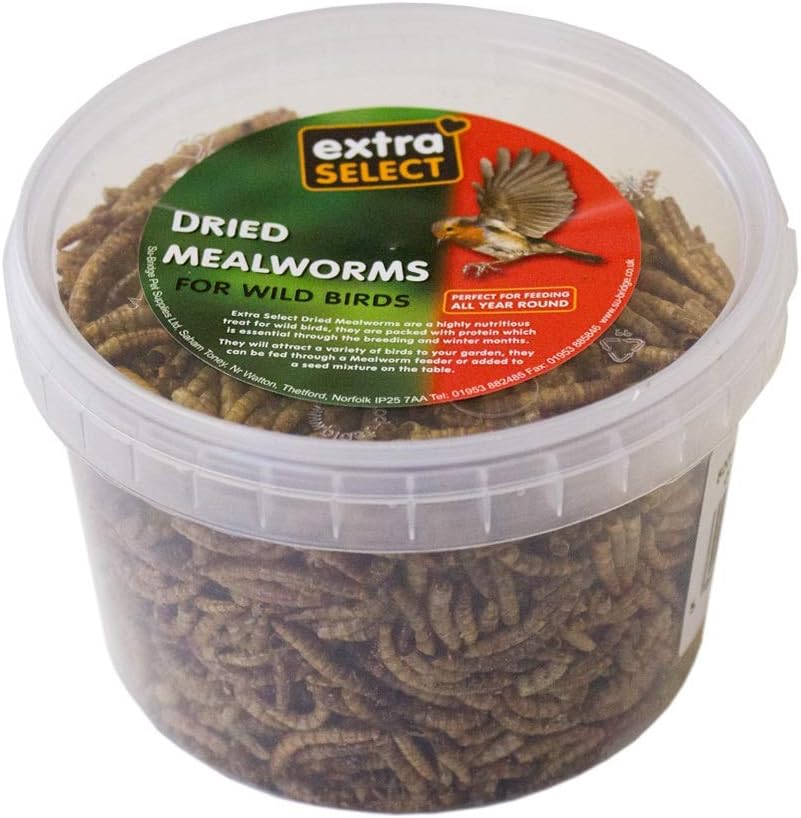 Extra Select Dried Mealworms for Wild Birds: Protein Rich Wild Bird Food for Robins to Hedgehogs - Meal Worms for Garden Birds - 500 ml - Comfort Style