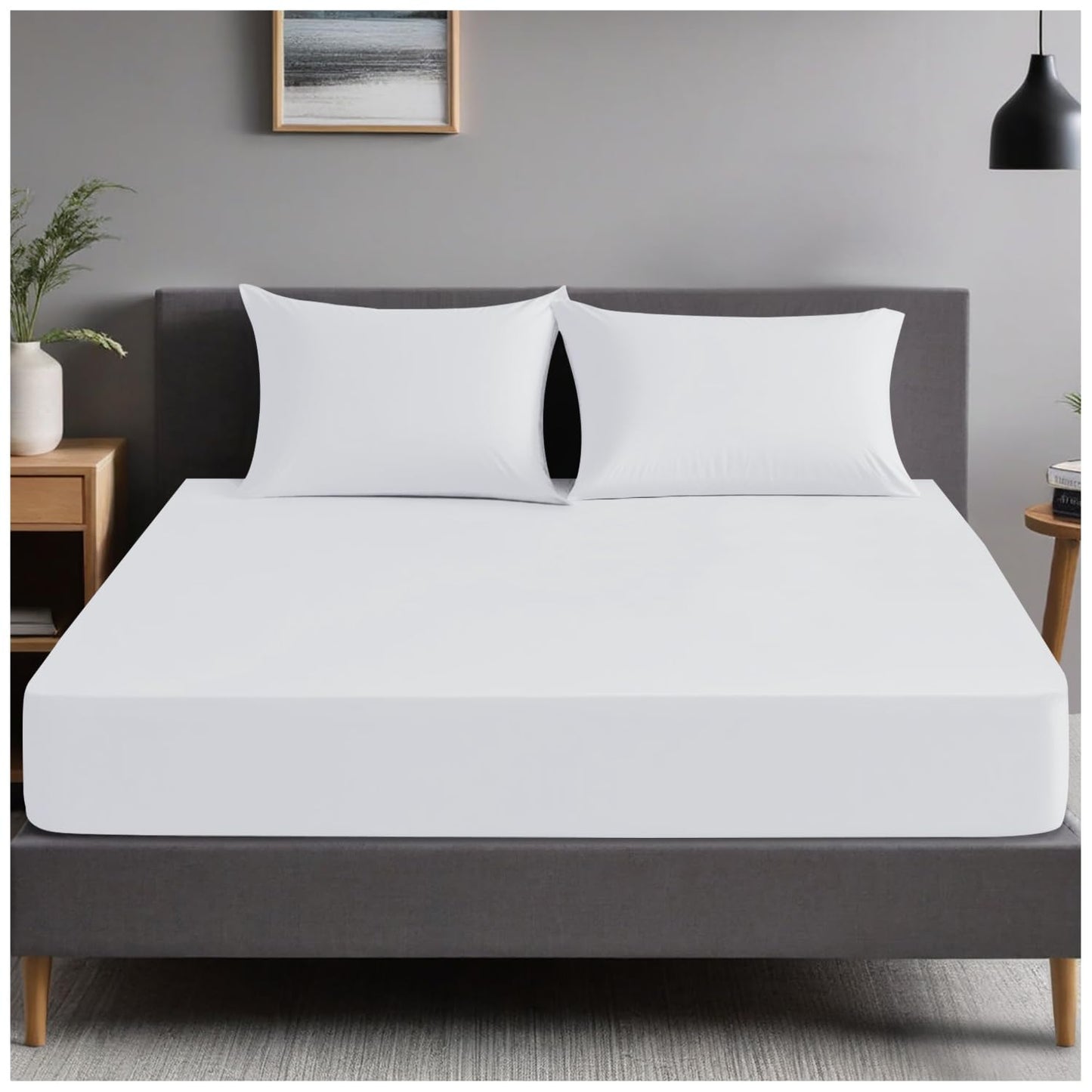 GC GAVENO CAVAILIA | Fitted Sheets - Plain Dyed Bedding Bedsheets - Non Iron Superking Fitted Sheet