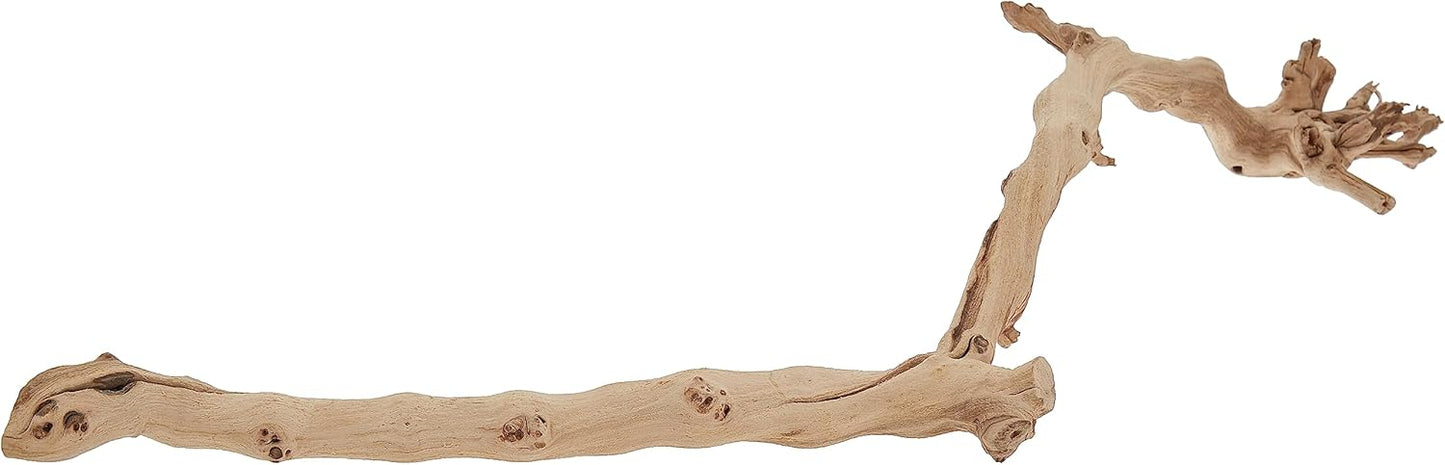 Exo Terra Forest Branch, Small (Exact Size May Vary) - Comfort Style