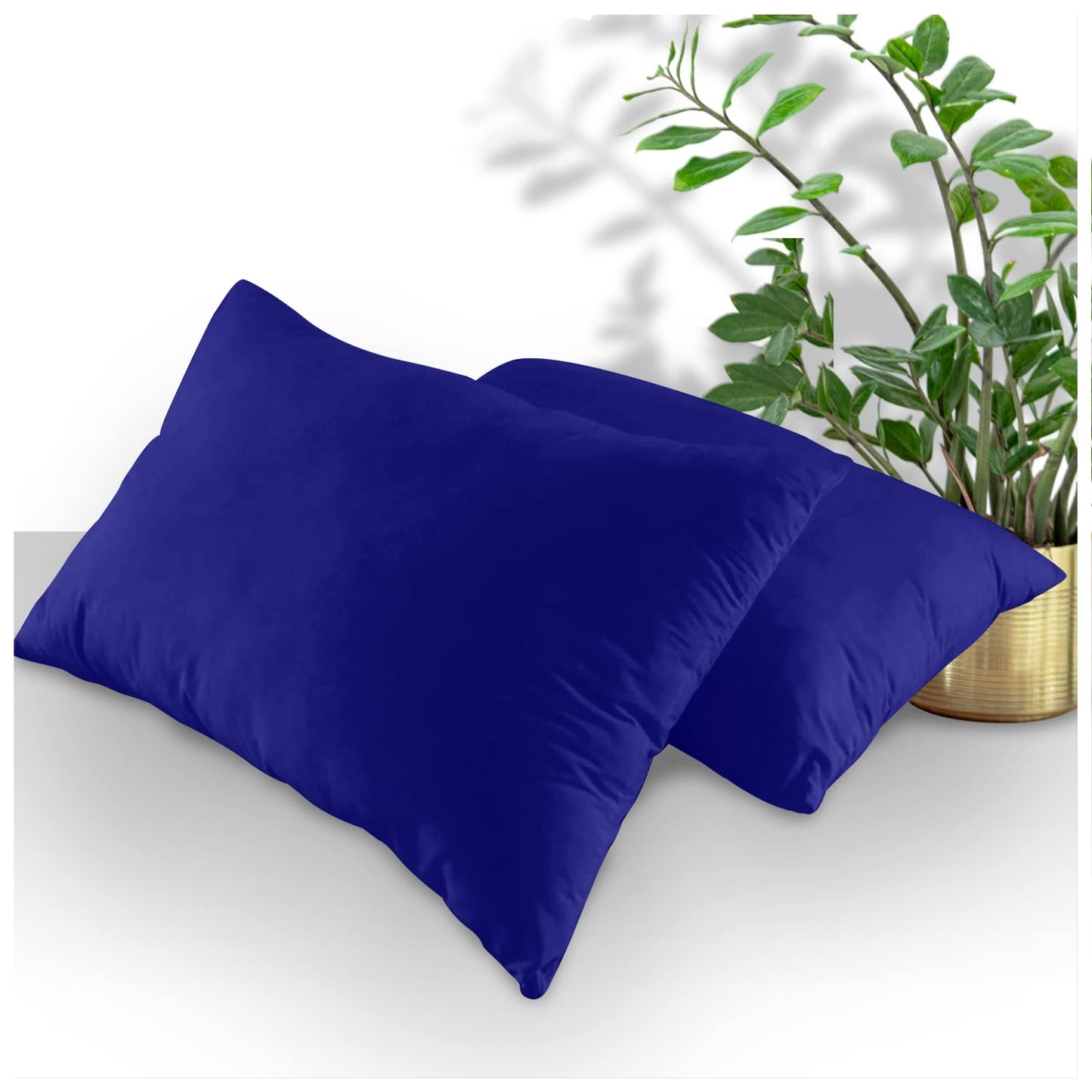 GC GAVENO CAVAILIA | Fitted Sheets - Plain Dyed Bedding Bedsheets - Non Iron Superking Fitted Sheet