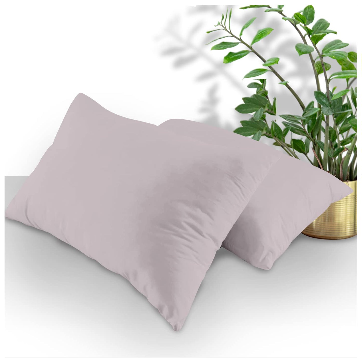 GC GAVENO CAVAILIA | Fitted Sheets - Plain Dyed Bedding Bedsheets - Non Iron Superking Fitted Sheet