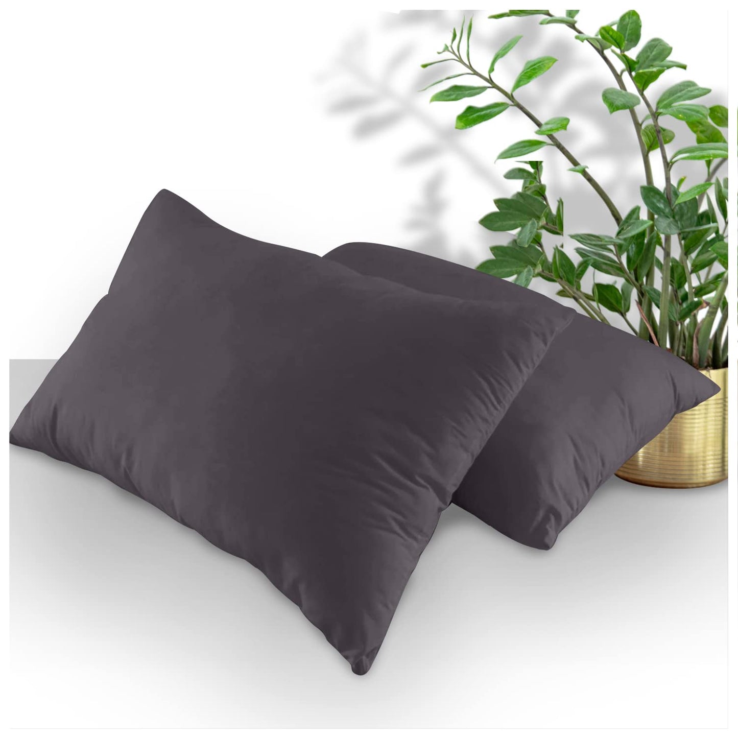 GC GAVENO CAVAILIA | Fitted Sheets - Plain Dyed Bedding Bedsheets - Non Iron Superking Fitted Sheet