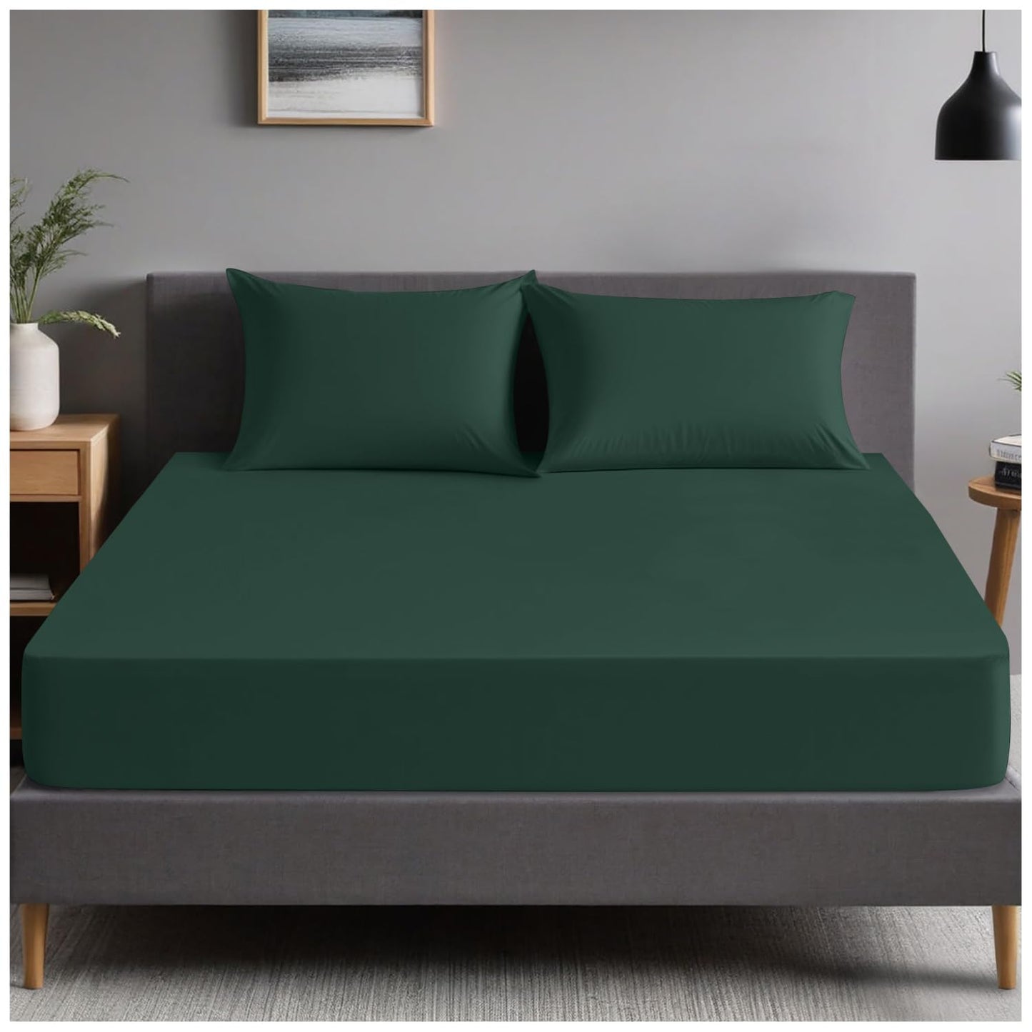 GC GAVENO CAVAILIA | Fitted Sheets - Plain Dyed Bedding Bedsheets - Non Iron Superking Fitted Sheet