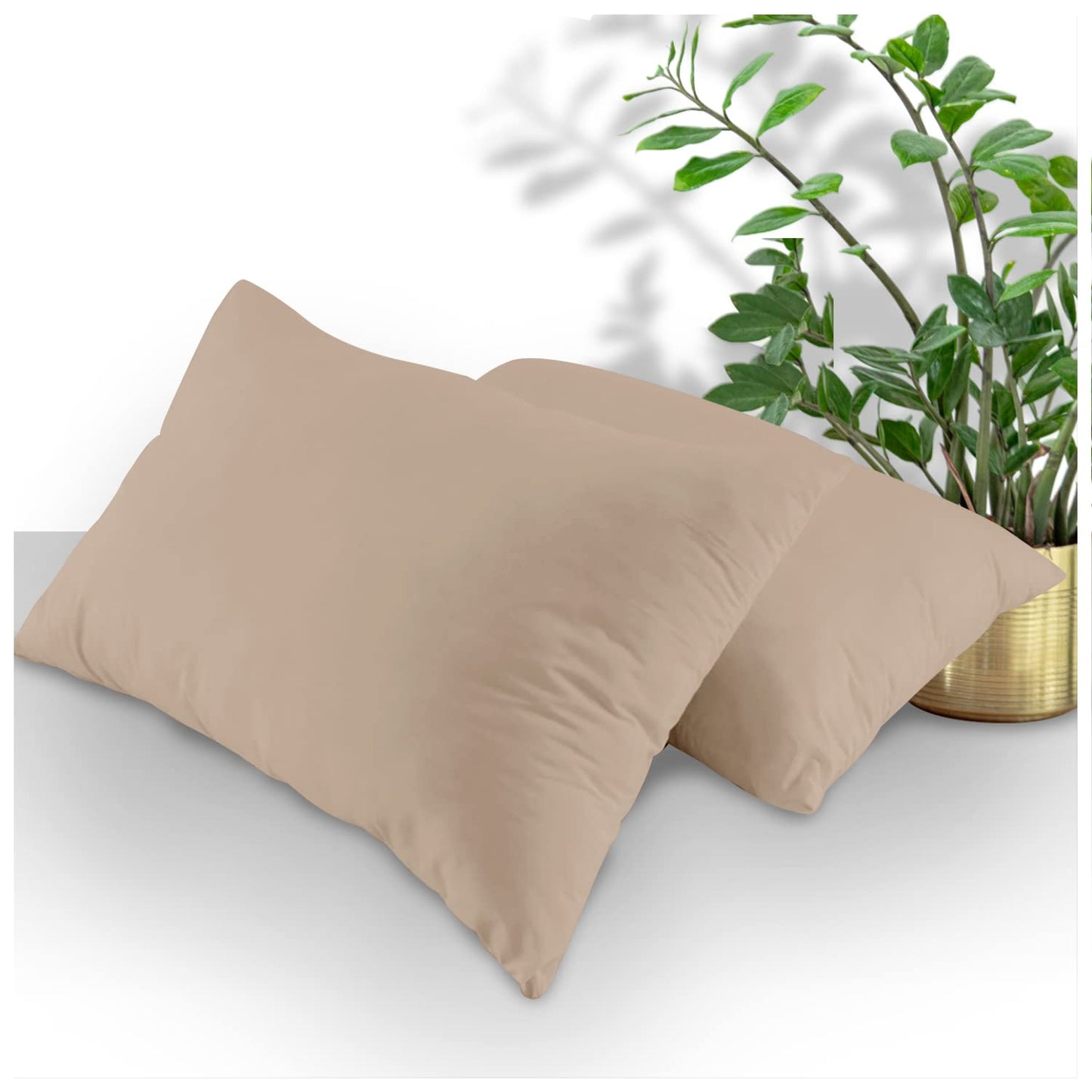 GC GAVENO CAVAILIA | Fitted Sheets - Plain Dyed Bedding Bedsheets - Non Iron Superking Fitted Sheet