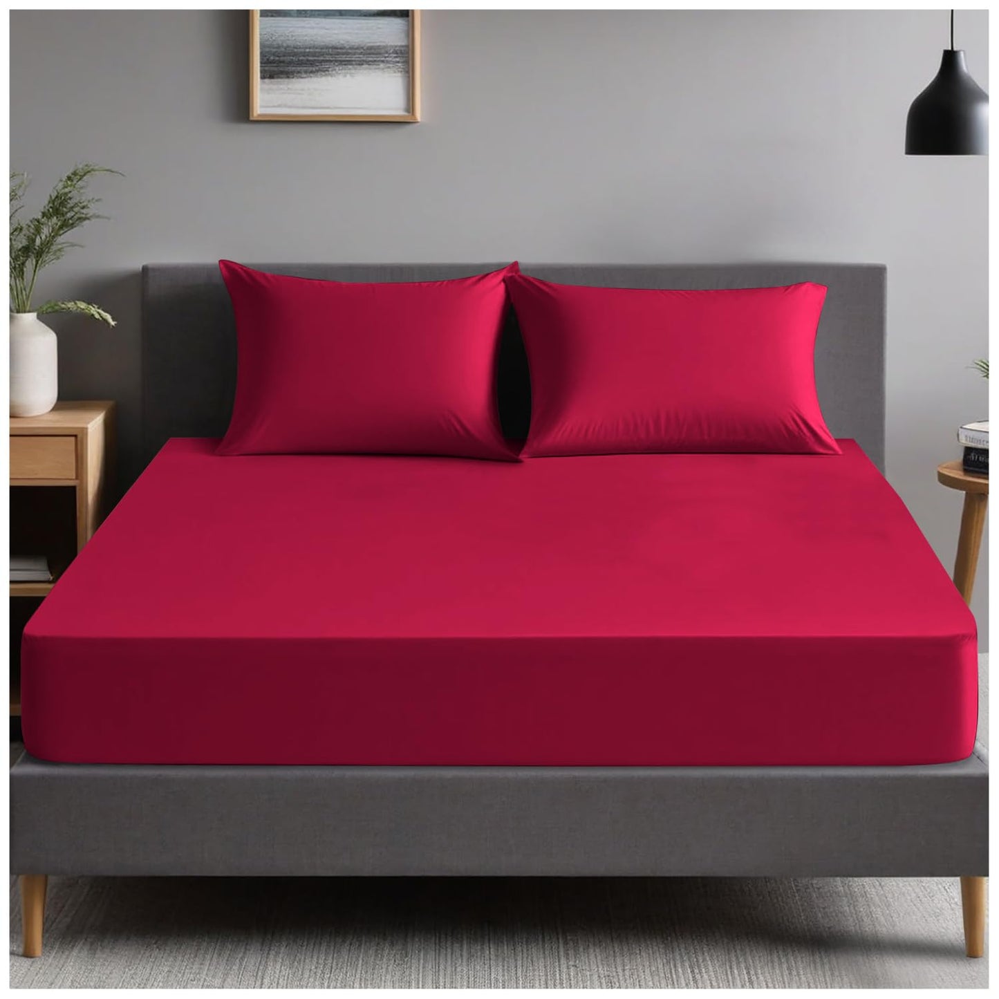 GC GAVENO CAVAILIA | Fitted Sheets - Plain Dyed Bedding Bedsheets - Non Iron Superking Fitted Sheet