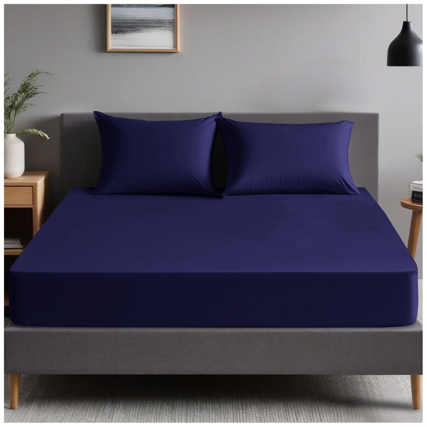 GC GAVENO CAVAILIA | Fitted Sheets - Plain Dyed Bedding Bedsheets - Non Iron Superking Fitted Sheet