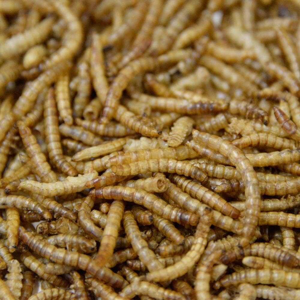 Extra Select Dried Mealworms for Wild Birds: Protein Rich Wild Bird Food for Robins to Hedgehogs - Meal Worms for Garden Birds - 500 ml - Comfort Style
