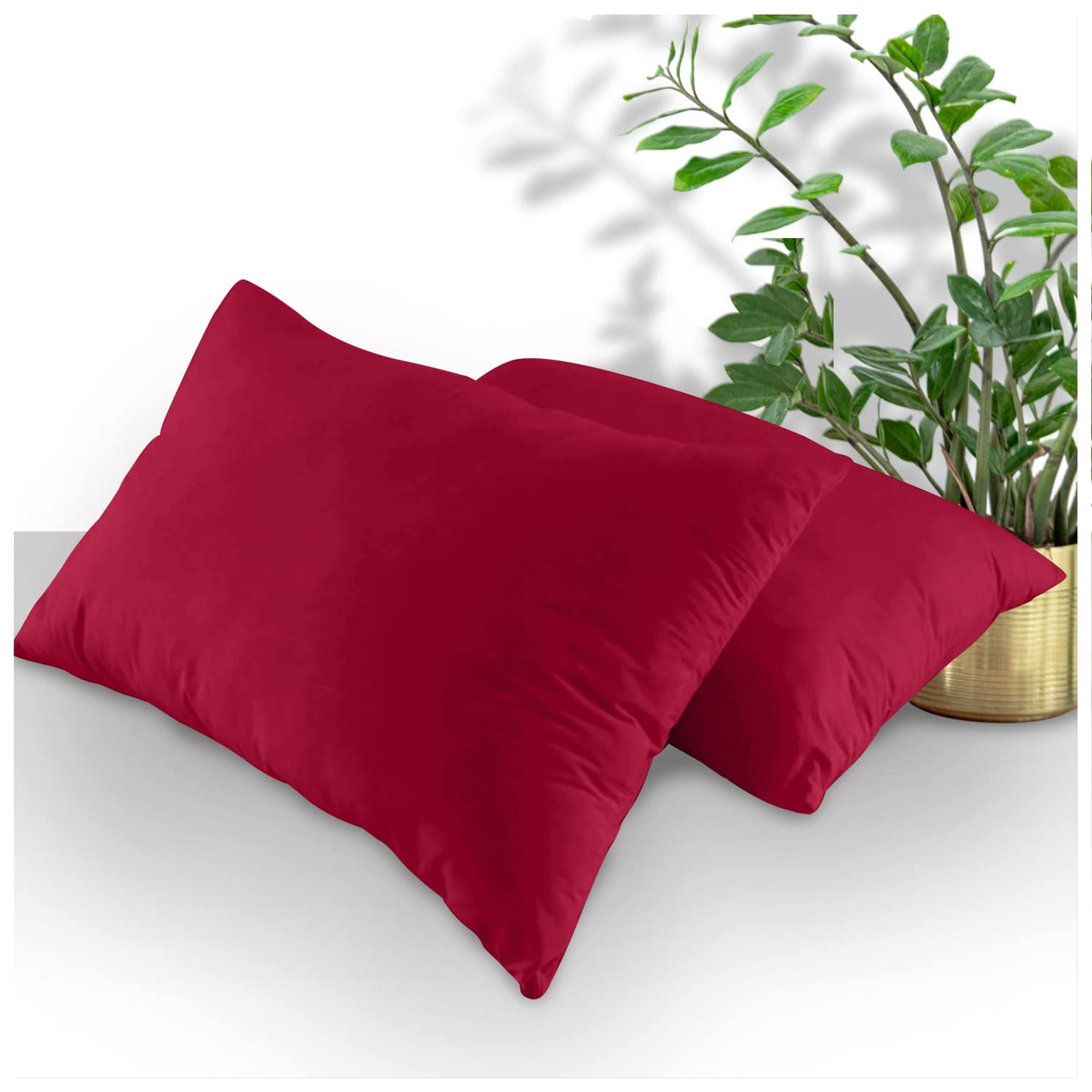 GC GAVENO CAVAILIA | Fitted Sheets - Plain Dyed Bedding Bedsheets - Non Iron Superking Fitted Sheet