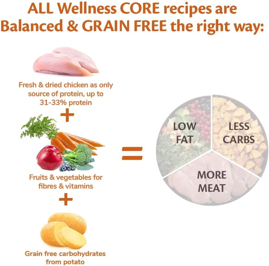 Wellness CORE Adult Ocean, 1.8kg, Salmon & Tuna, Dry Dog Food for Medium to Large Breeds, Grain-Free, High Fish Content, Protein-Rich, Supports Healthy Skin & Shiny Coat - Comfort Style