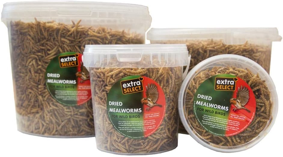 Extra Select Dried Mealworms for Wild Birds: Protein Rich Wild Bird Food for Robins to Hedgehogs - Meal Worms for Garden Birds - 500 ml - Comfort Style