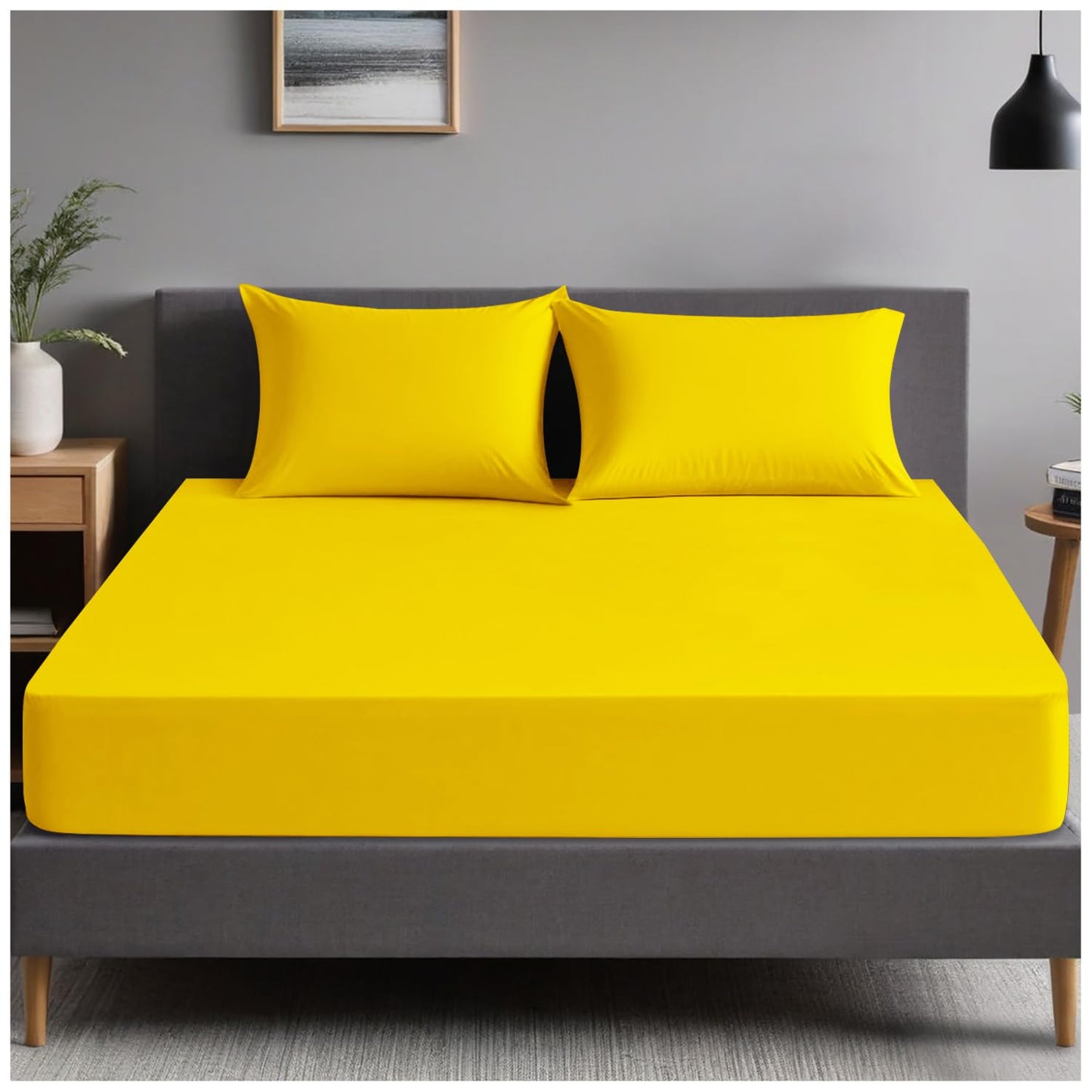 GC GAVENO CAVAILIA | Fitted Sheets - Plain Dyed Bedding Bedsheets - Non Iron Superking Fitted Sheet
