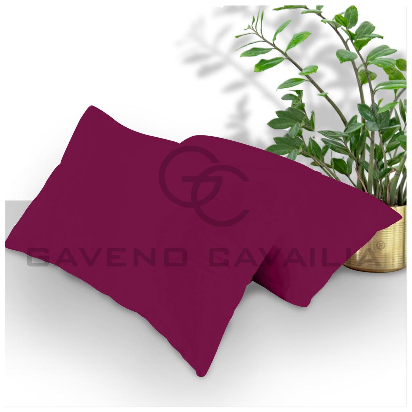 GC GAVENO CAVAILIA | Fitted Sheets - Plain Dyed Bedding Bedsheets - Non Iron Superking Fitted Sheet