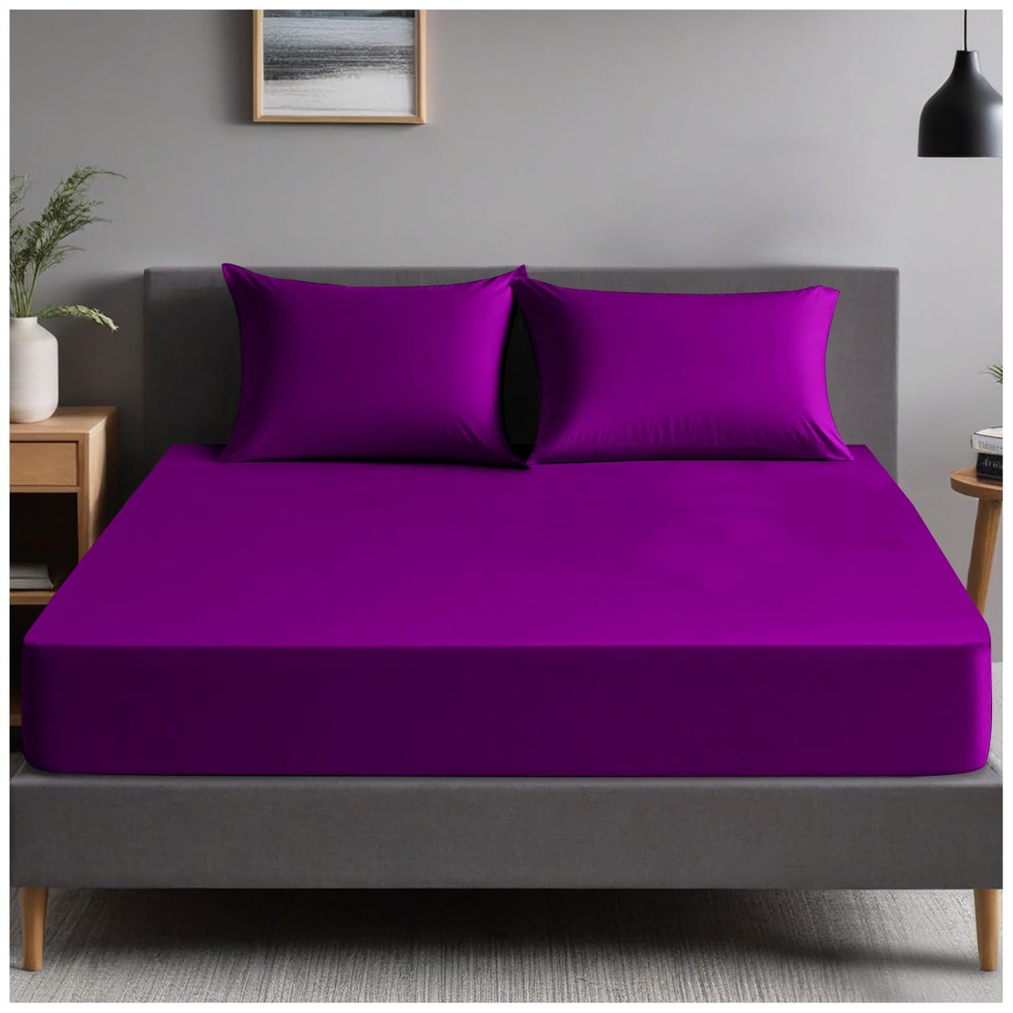 GC GAVENO CAVAILIA | Fitted Sheets - Plain Dyed Bedding Bedsheets - Non Iron Superking Fitted Sheet