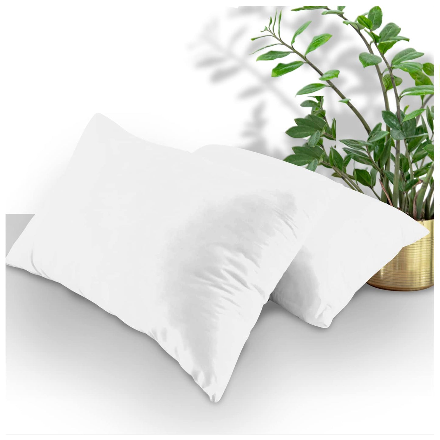 GC GAVENO CAVAILIA | Fitted Sheets - Plain Dyed Bedding Bedsheets - Non Iron Superking Fitted Sheet