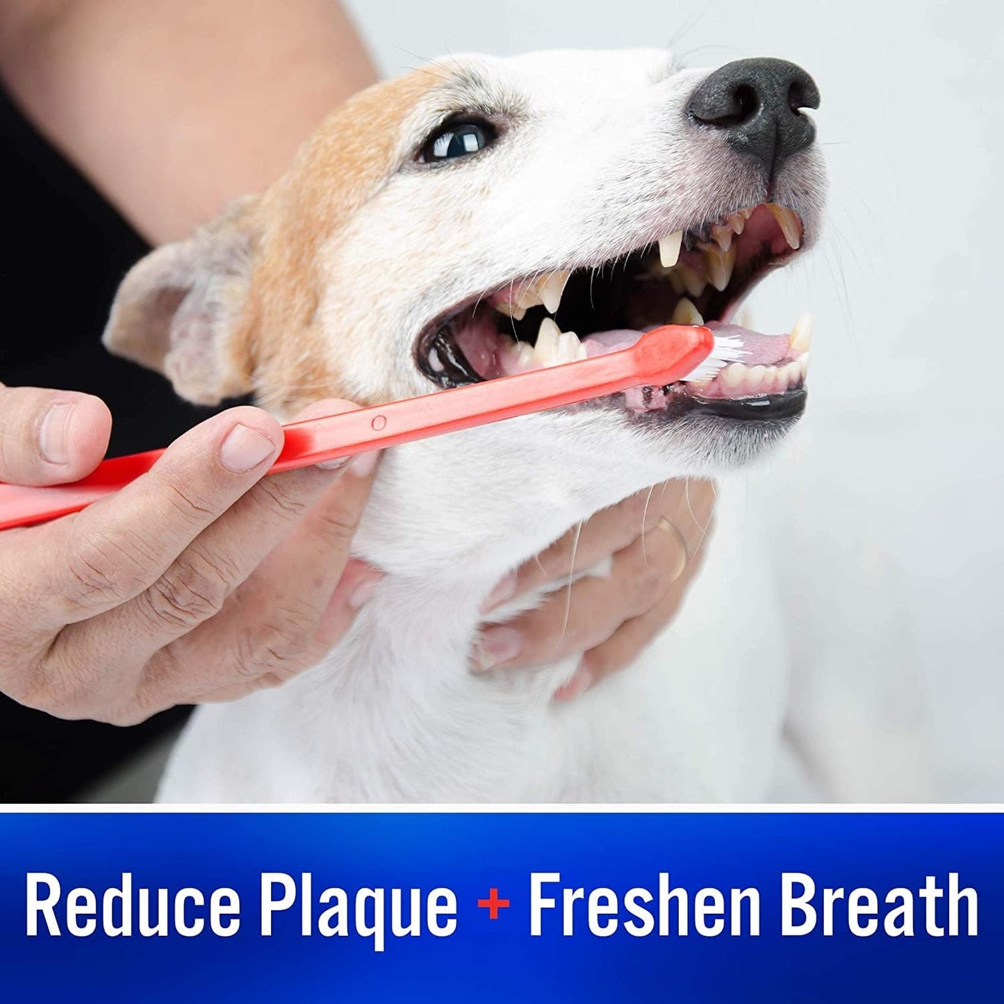 Virbac Enzymatic Toothpaste For Dogs, Poultry Flavour 70G