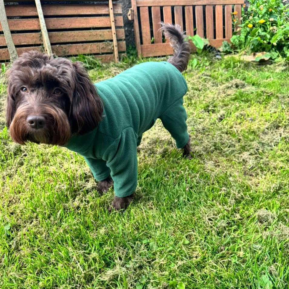 Warm Four-Legged Dog Fleece – Super Soft, Weather-Resistant (Coral, Medium) - Comfort Style