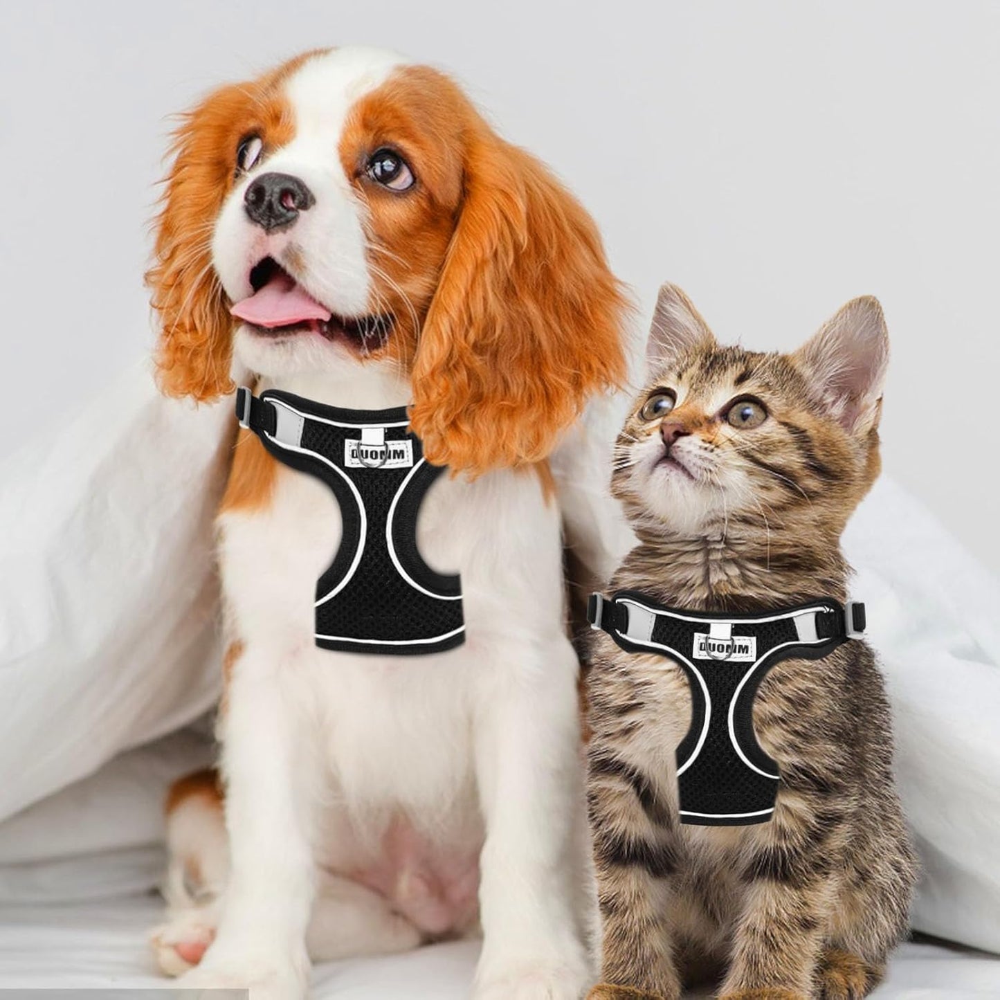 RAFIYU Dog Harness Medium Breathable Vest, Step-in Cat Puppy Harness and Lead Sets, Adjustable Reflective Anti Pull Dog Harness with Collars for Extra-Small/Small Medium Dogs Training or Walking (S) - Comfort Style