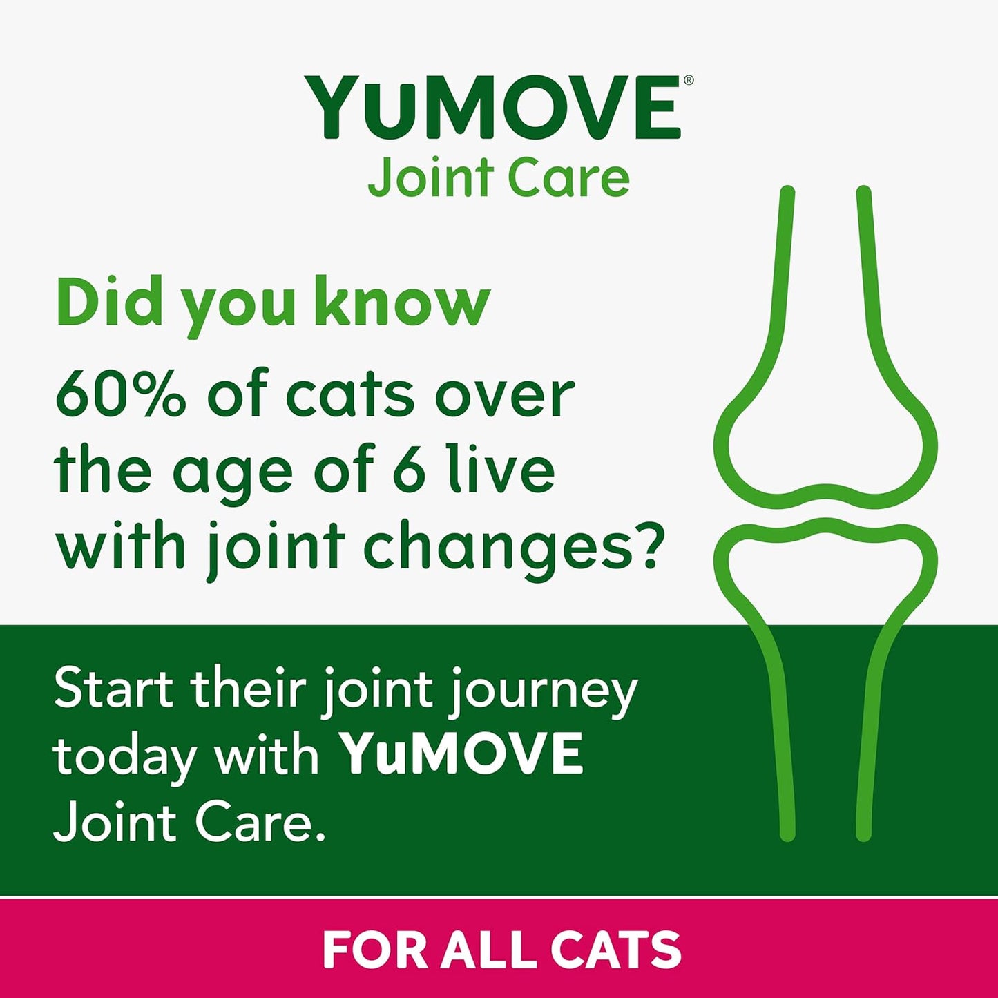 YuMOVE Cat | Joint Supplement for Cats, with Glucosamine, Chondroitin, Green Lipped Mussel, All Ages and Breeds | 60 Capsules - Comfort Style