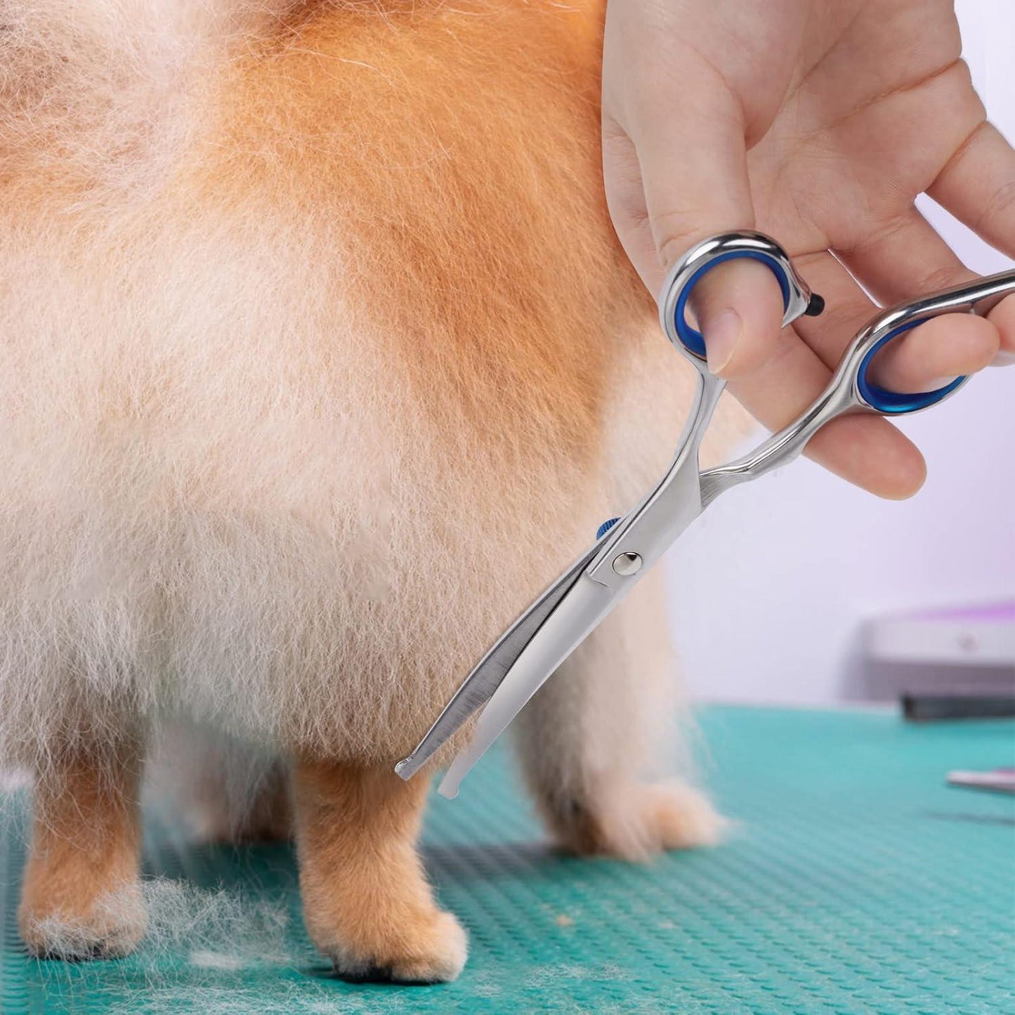 Dog Grooming Scissors with Safety Round Tip, Pet Dog Cat Curved Grooming Shears Scissors, Stainless Steel Pet Grooming Tools (Silver Down Curved Scissor) - Comfort Style
