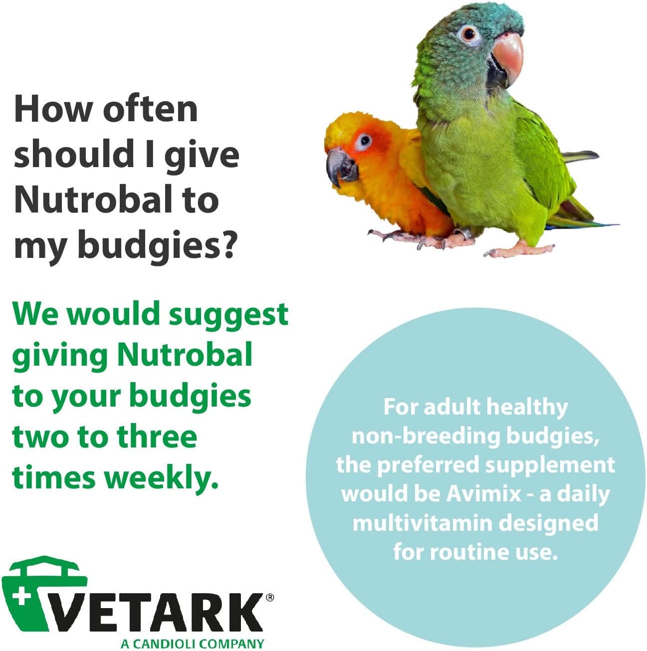 Nutrobal, Calcium & Vitamin D3 Mineral Supplement for Birds & Reptiles, Powder, Easy to Administer, 100g - Comfort Style