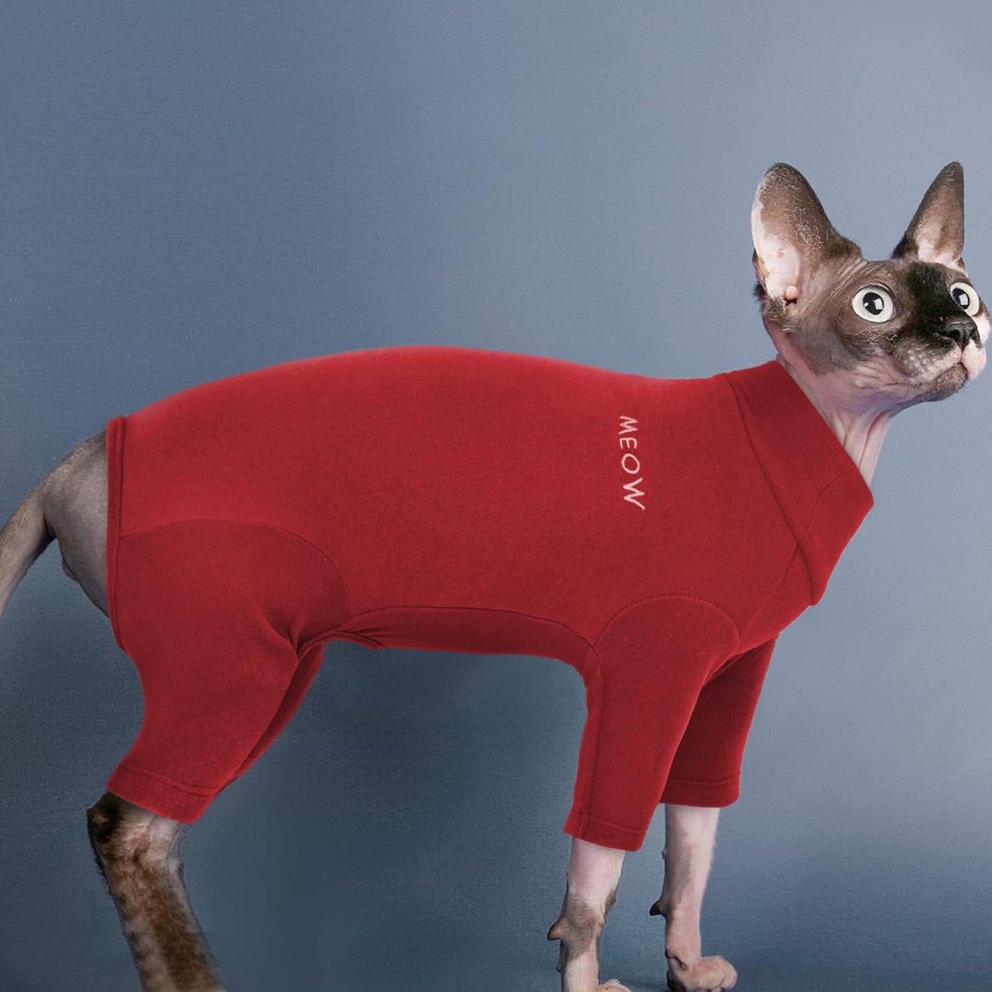 Cat Onesie, Cat Coat for Cats Only Cat Body suit Cat Surgery Recovery Suit Full Body Coverage Cat Onesie Recovery Suit Sphynx Cat Jumpsuit Cat Winter Clothes(Red, L) - Comfort Style