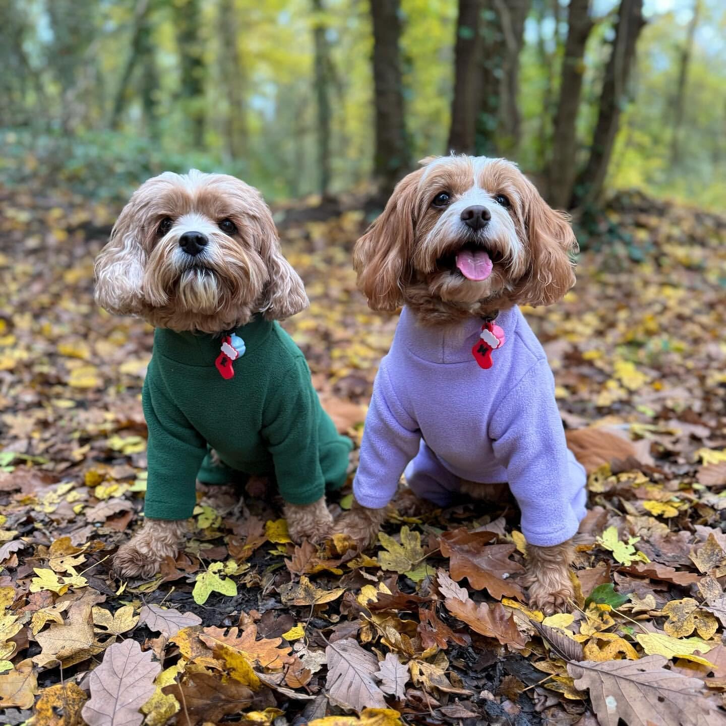 Warm Four-Legged Dog Fleece – Super Soft, Weather-Resistant (Coral, Medium) - Comfort Style