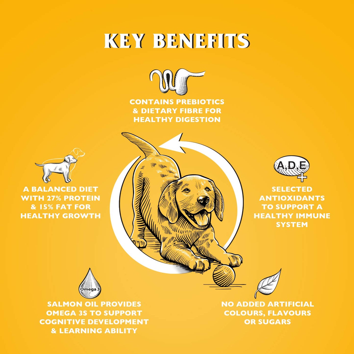 Dr John Dry Puppy Food 10kg with Omega-3s - Chicken Recipe - Complete Nutrition for Puppies of Sporting Active Breeds - Junior High Protein Dry Dog Food.