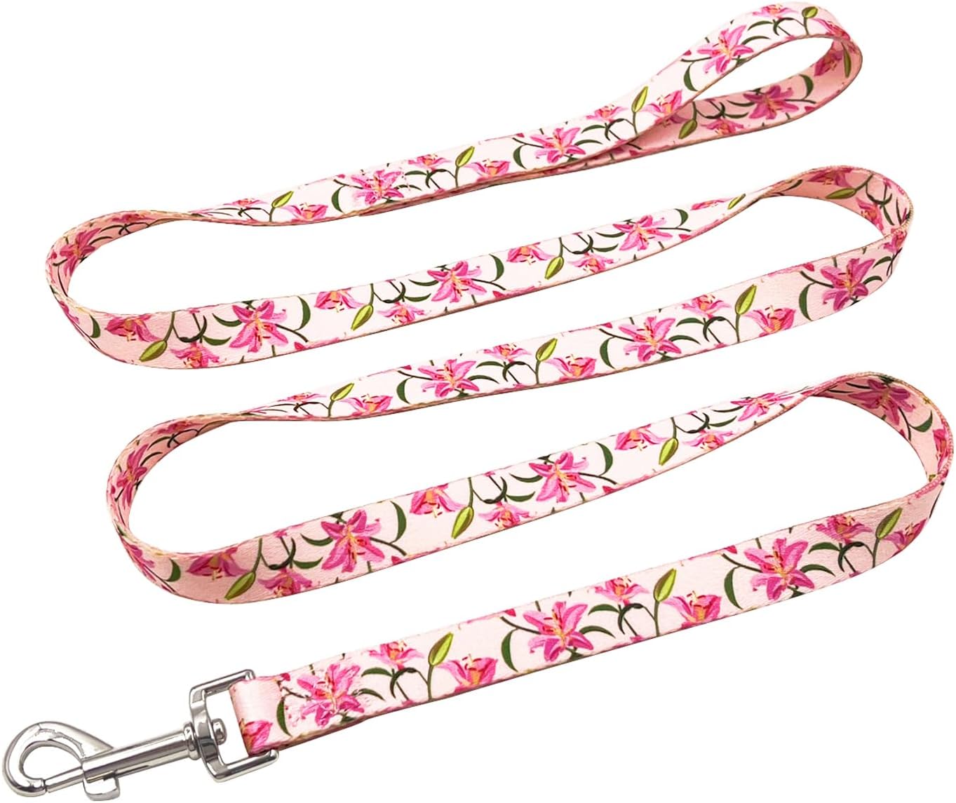 Olahibi Daisy Pattern Dog Collar and Leash Set,Durable Polyester Collar and 150CM Matching Lead for Small Dogs.(S, Green Daisy) - Comfort Style