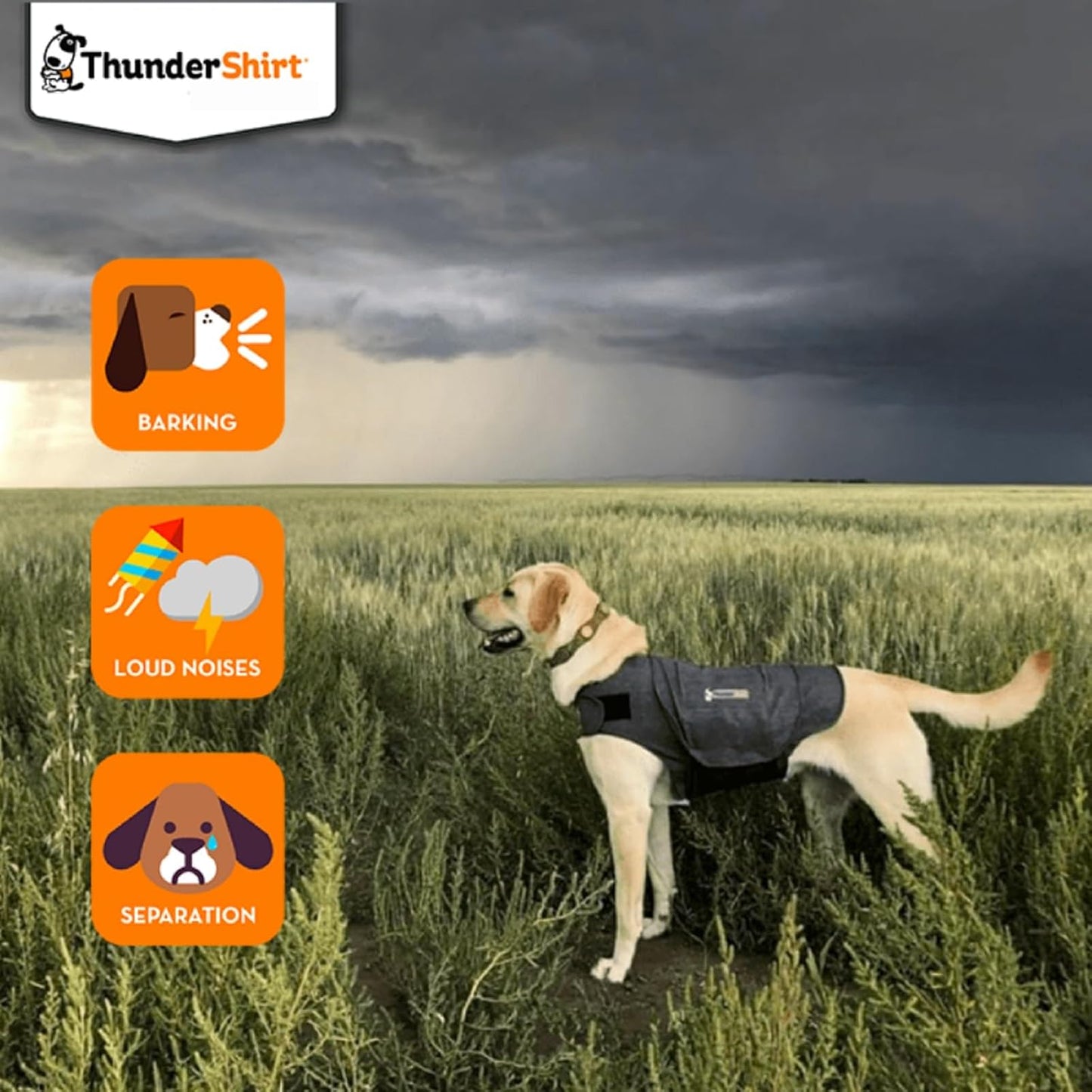 ThunderShirt for Dogs | Calming Jacket for Dogs | Puppy Coats for Small Dogs XS | Dog Anxiety Jacket | Instant Natural Relief for Storms, Fireworks & Separation | Grey Dog Coat | 5 Sizes, Grey, XS
