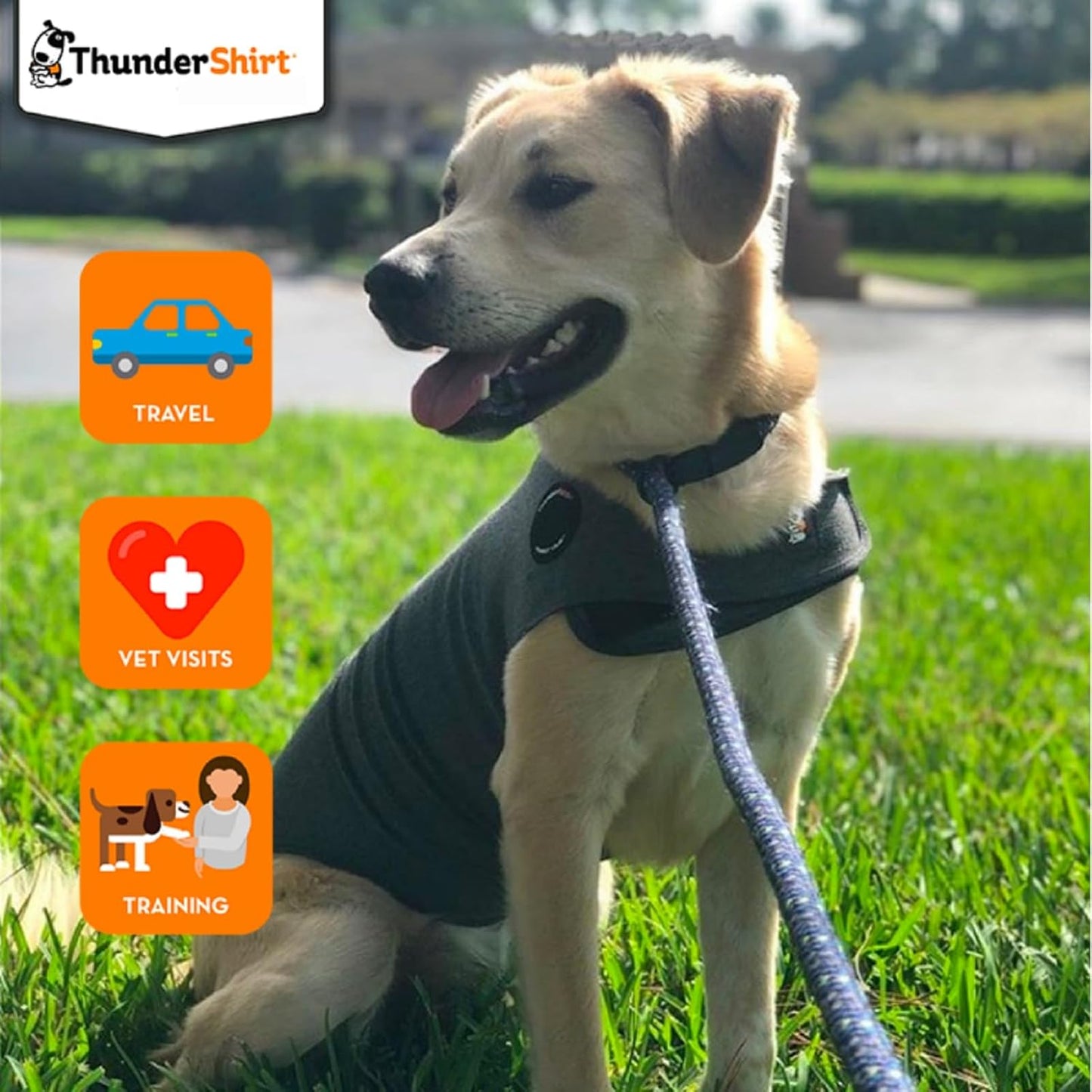 ThunderShirt for Dogs | Calming Jacket for Dogs | Puppy Coats for Small Dogs XS | Dog Anxiety Jacket | Instant Natural Relief for Storms, Fireworks & Separation | Grey Dog Coat | 5 Sizes, Grey, XS