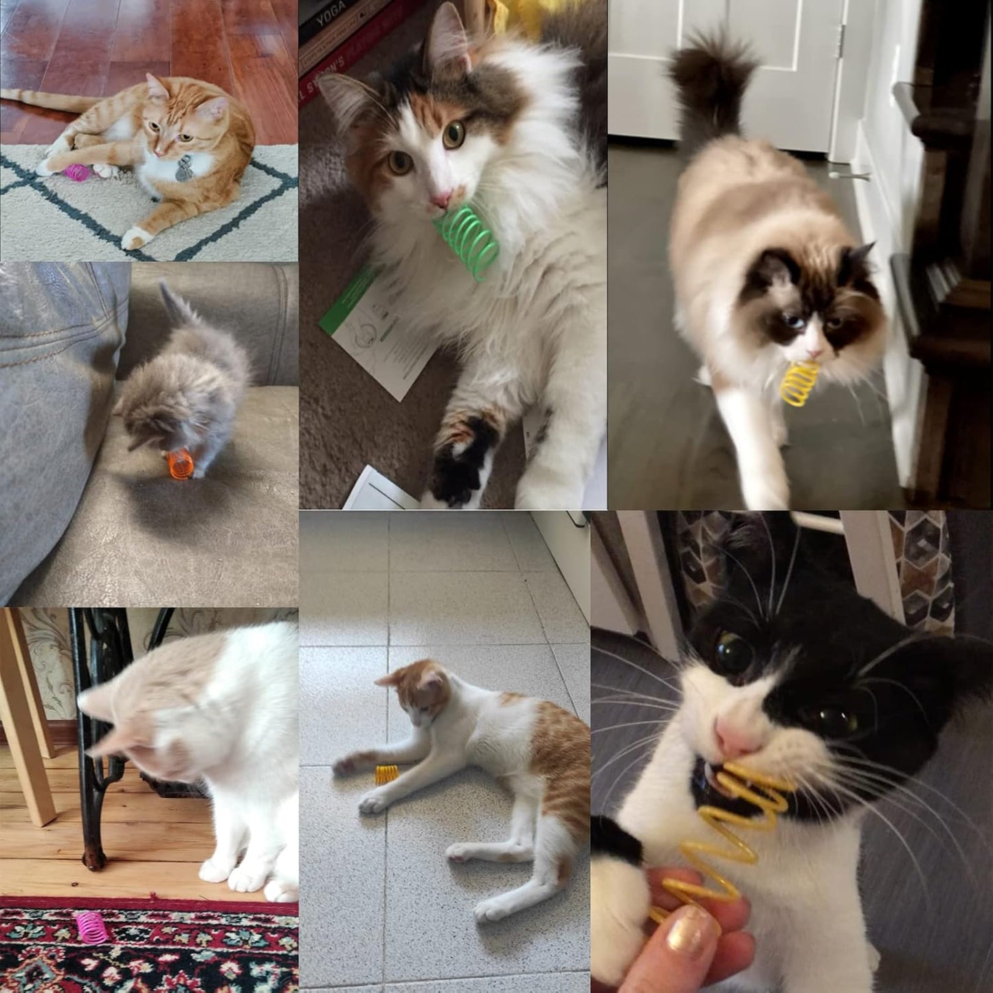 Petnice 12 Pcs Cat Colorful Springs Toys, Cat Creative Toys for Kittens, BPA Free Durable Heavy Plastic Interactive Toys to Kill Time and Keep Fit for Swatting, Biting, Hunting Kitten Toys - Comfort Style