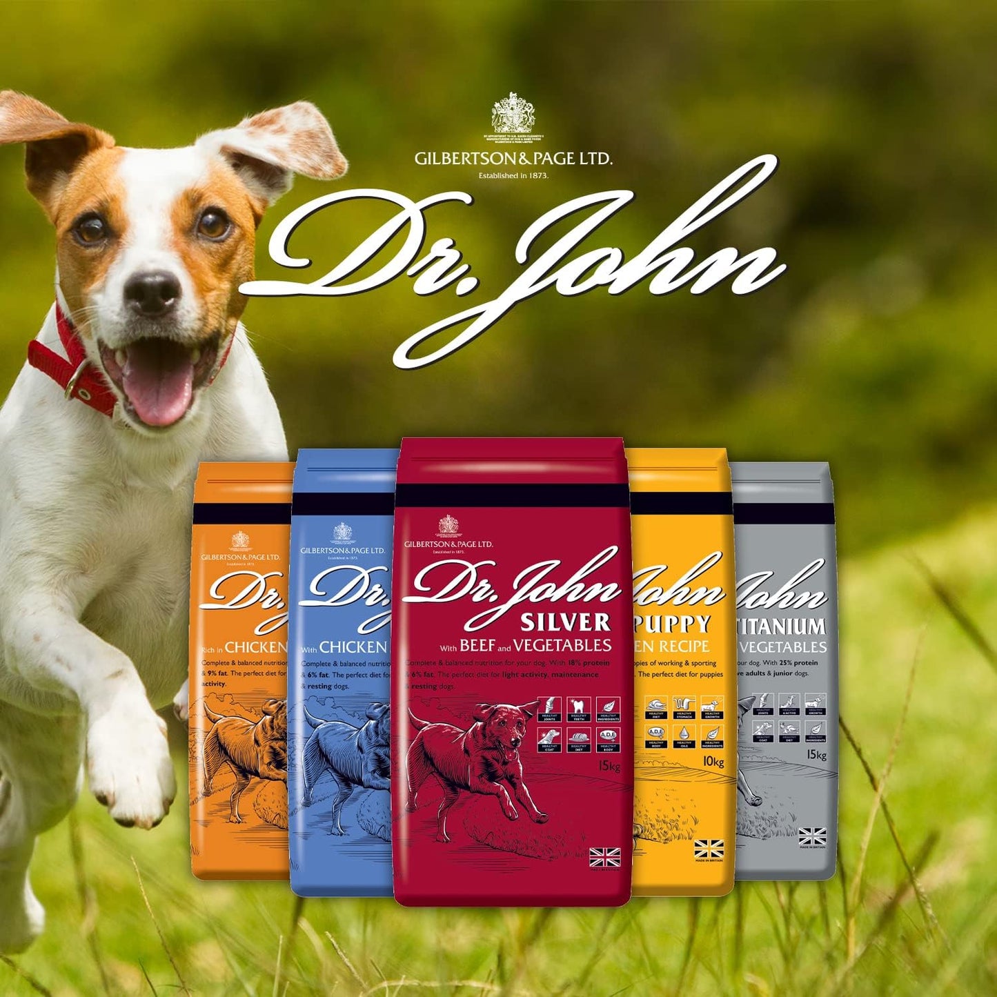 Dr John Dry Puppy Food 10kg with Omega-3s - Chicken Recipe - Complete Nutrition for Puppies of Sporting Active Breeds - Junior High Protein Dry Dog Food.