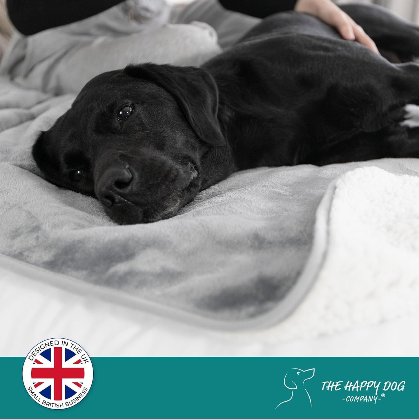 100% Waterproof Dog Blankets for Small & Medium Dogs β Soft Fleece, Washable Pet Throw for Sofa, Car & Furniture Protection, Soft Fluffy Reversible Blanket, 75x100cm, Grey/White