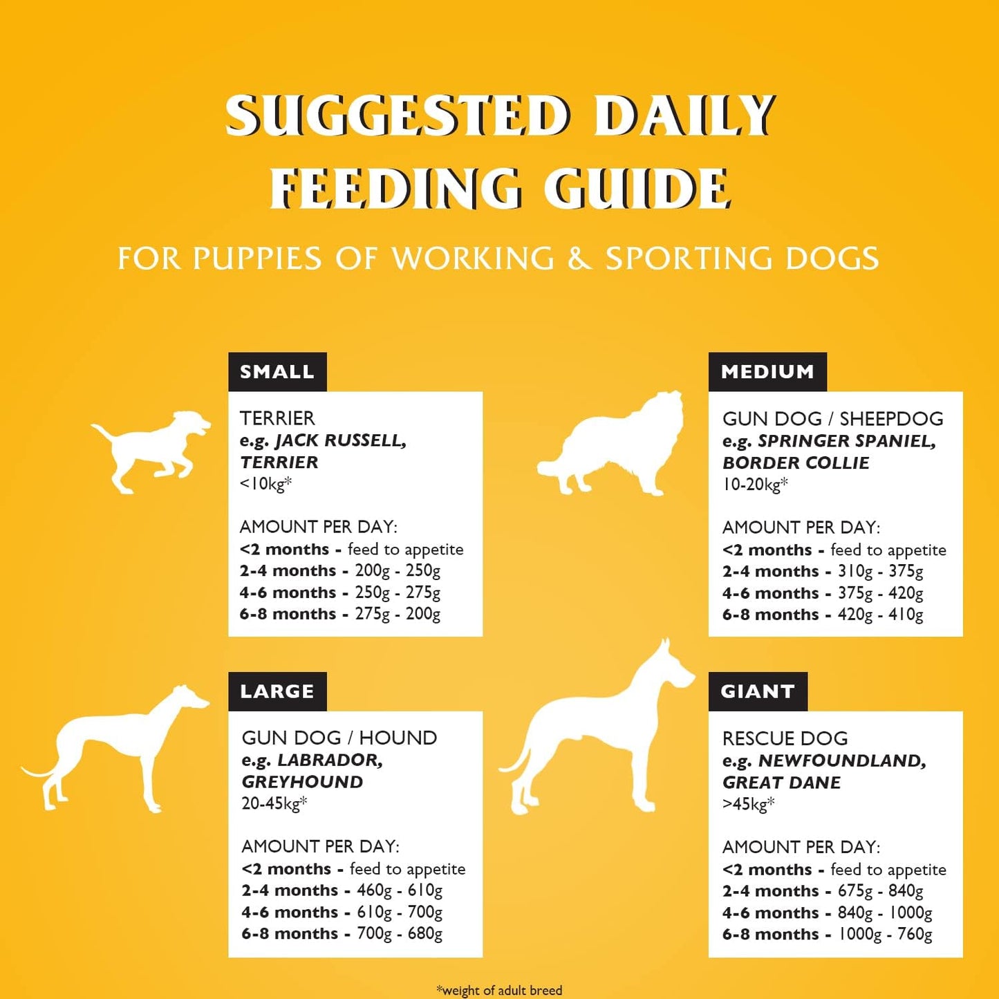 Dr John Dry Puppy Food 10kg with Omega-3s - Chicken Recipe - Complete Nutrition for Puppies of Sporting Active Breeds - Junior High Protein Dry Dog Food.