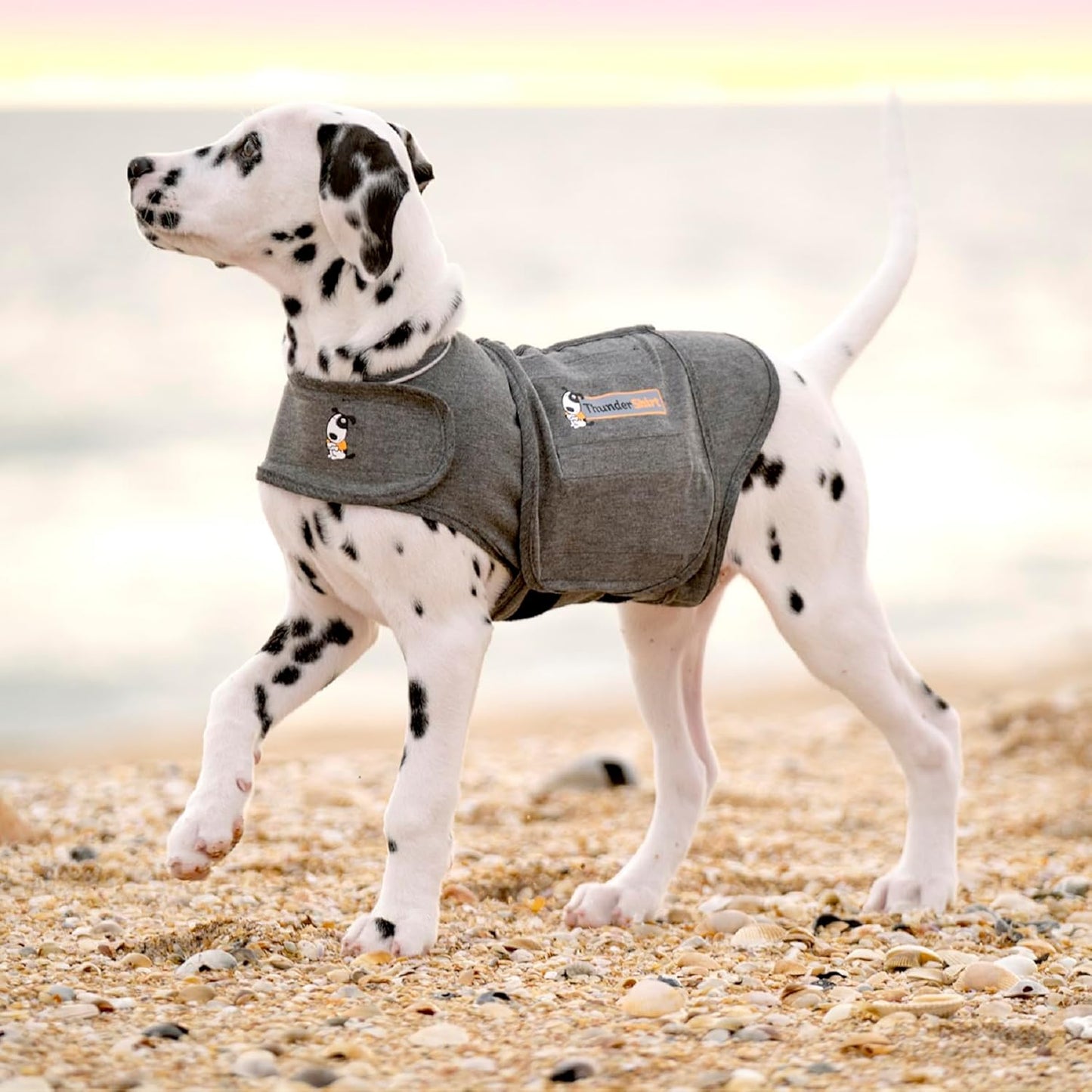 ThunderShirt for Dogs | Calming Jacket for Dogs | Puppy Coats for Small Dogs XS | Dog Anxiety Jacket | Instant Natural Relief for Storms, Fireworks & Separation | Grey Dog Coat | 5 Sizes, Grey, XS