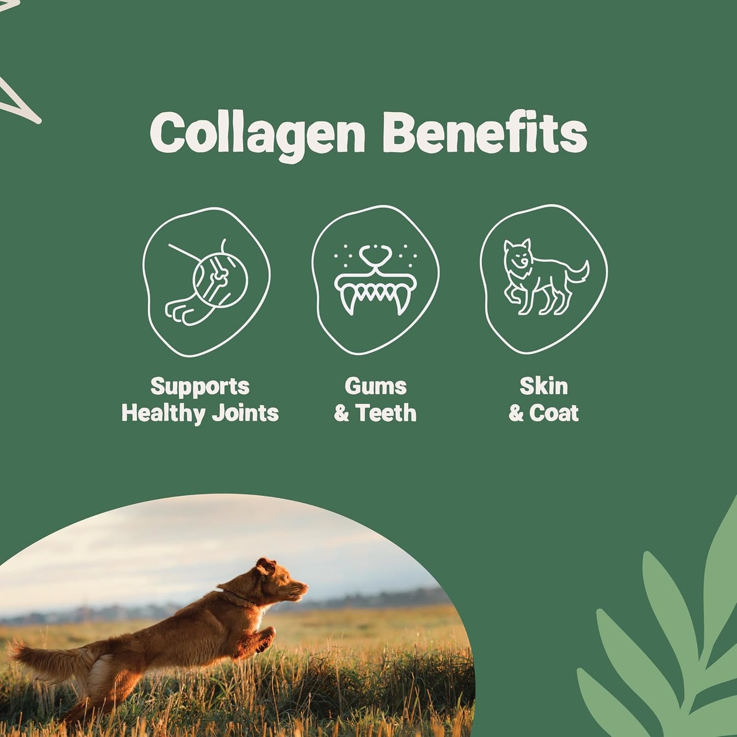 Pets Purest Natural Dog Treat Chews - 100% Healthy Air-Dried Pork & Beef Sausage Meat Treats for Dogs, Puppy & Senior. Grain & Gluten Free Low Fat Raw Protein Dog Food Snack (200g) - Comfort Style