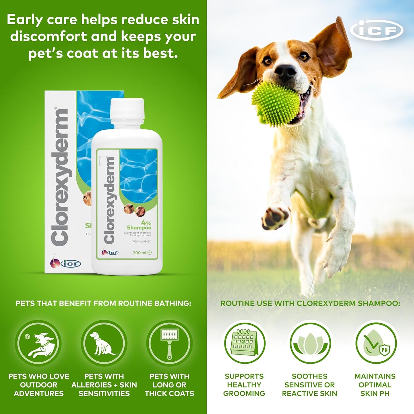 ICF | Clorexyderm 4% Dog Shampoo for Itchy Skin Relief | Anti Itch + Antifungal + Antibacterial Shampoo for Pets with Sensitive Skin 200ml