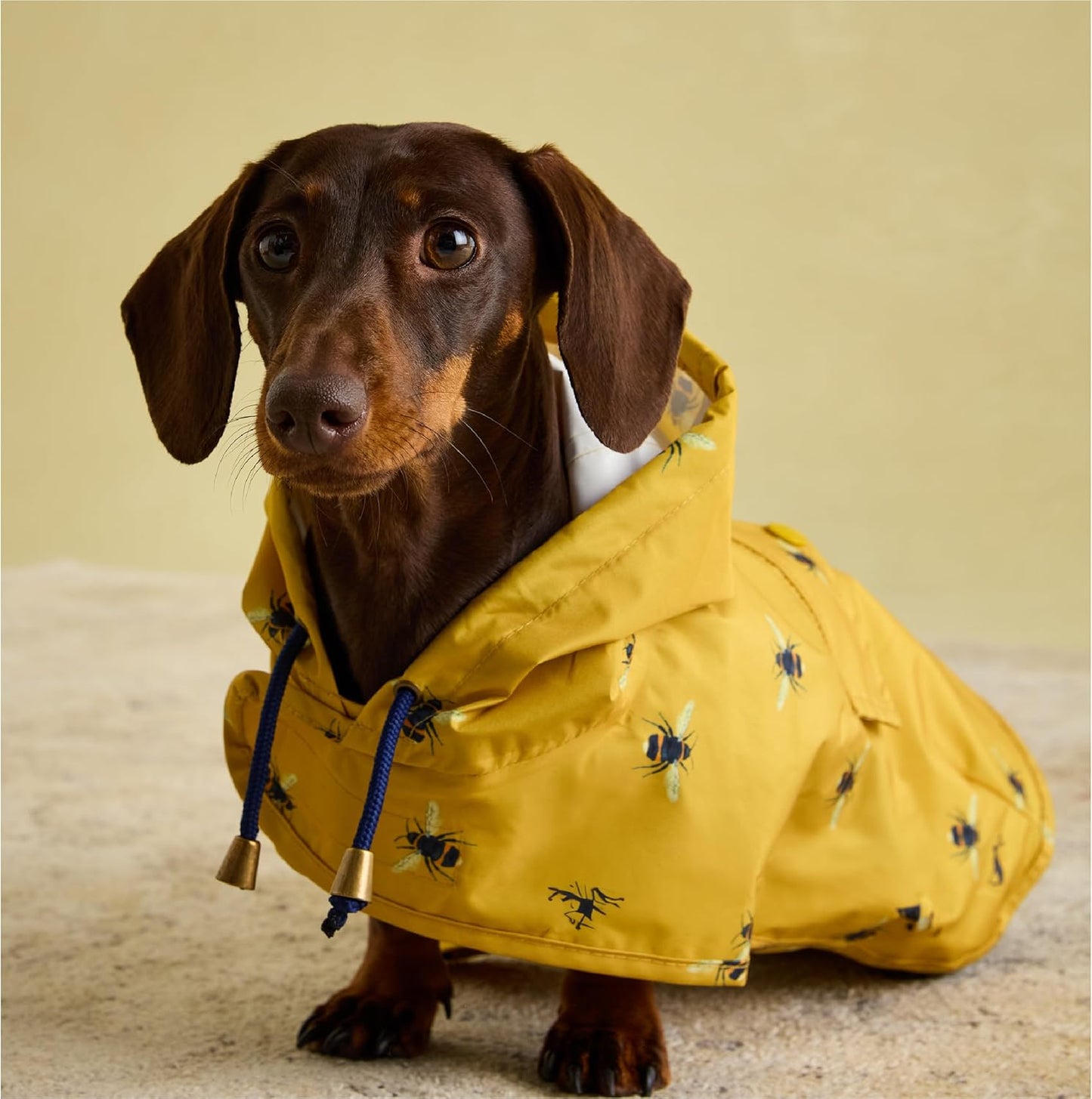Rosewood Joules Go Lightly Packaway Jacket For Dogs, Small - Comfort Style