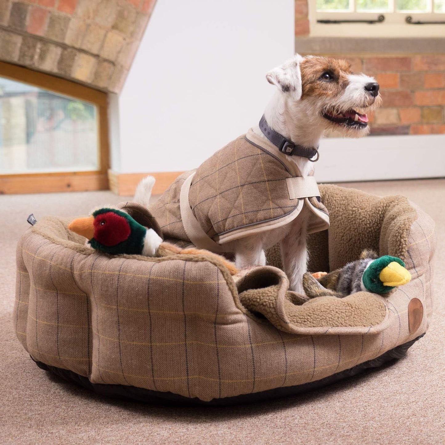 Petface Heston Hedgehog Plush Dog Toy (Pack of 1) - Comfort Style