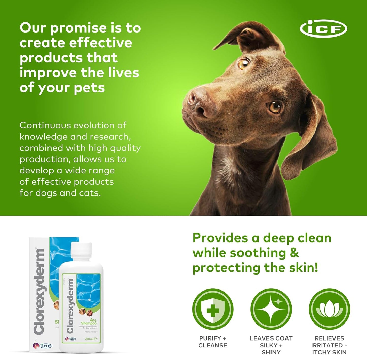 ICF | Clorexyderm 4% Dog Shampoo for Itchy Skin Relief | Anti Itch + Antifungal + Antibacterial Shampoo for Pets with Sensitive Skin 200ml