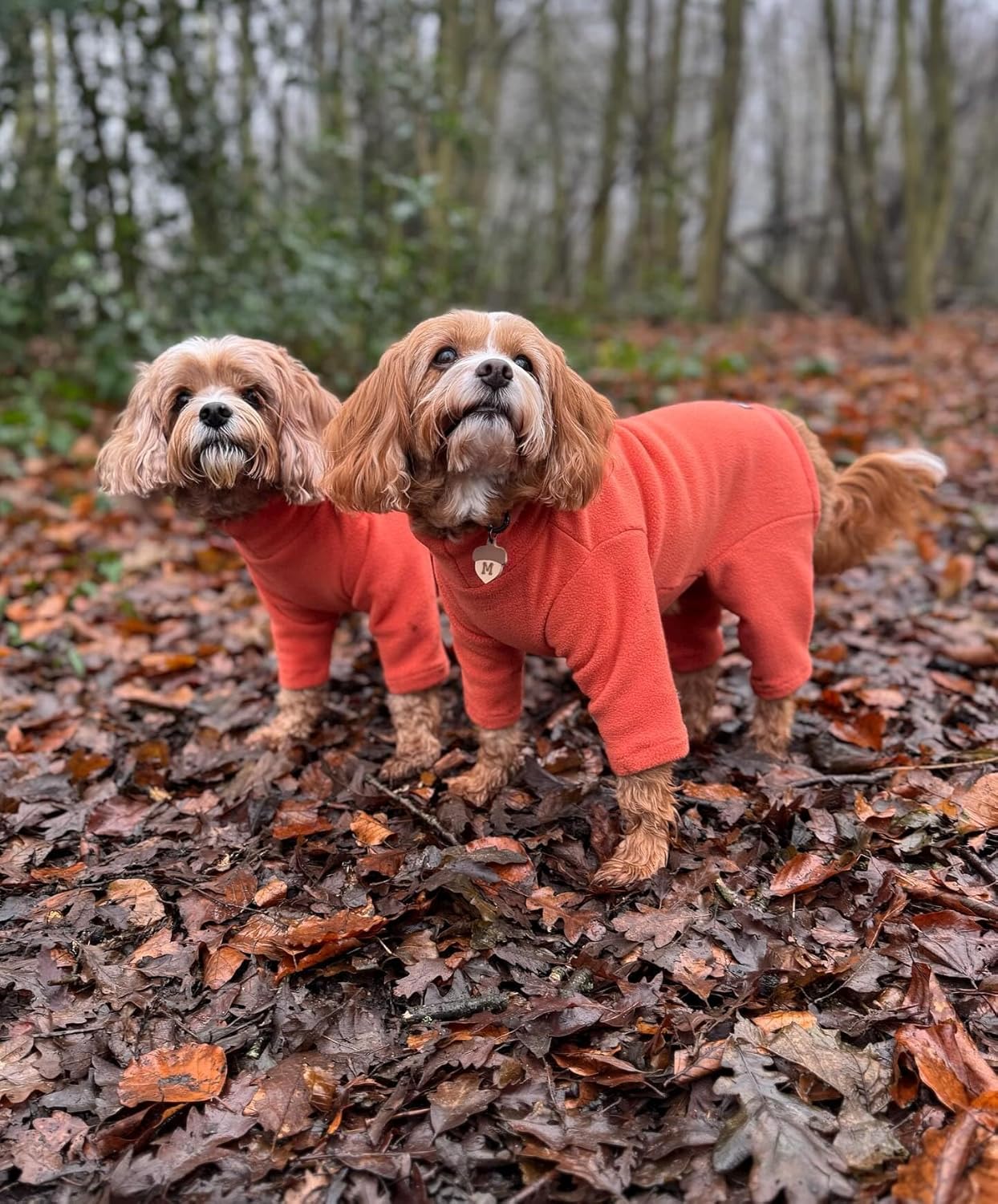 Warm Four-Legged Dog Fleece – Super Soft, Weather-Resistant (Coral, Medium) - Comfort Style
