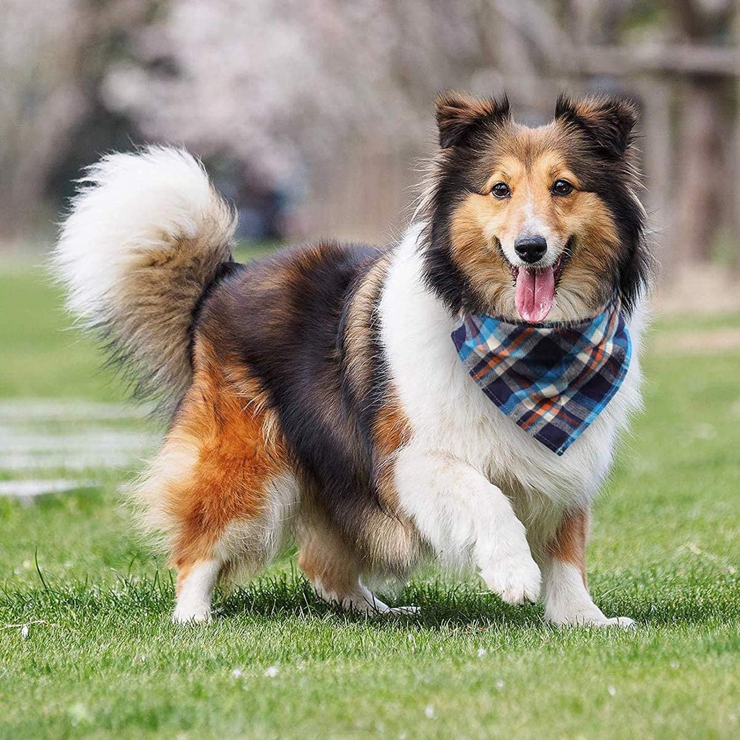 VIPITH, Bandana for Dogs, Pack of 8 Washable Reversible Adjustable Triangle Bibs for Pets and Cats (Random Color)