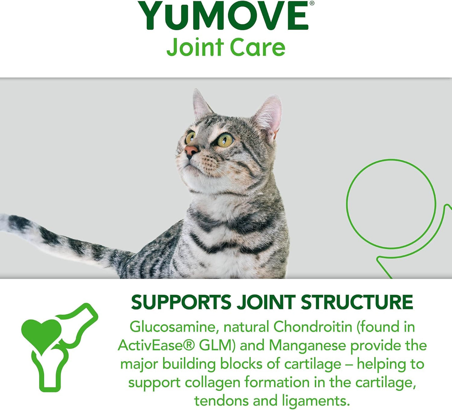 YuMOVE Cat | Joint Supplement for Cats, with Glucosamine, Chondroitin, Green Lipped Mussel, All Ages and Breeds | 60 Capsules - Comfort Style